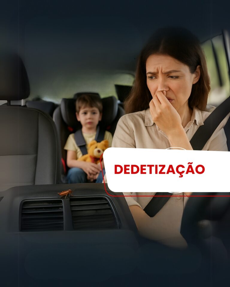 Dedetizacao Carro Em Belem