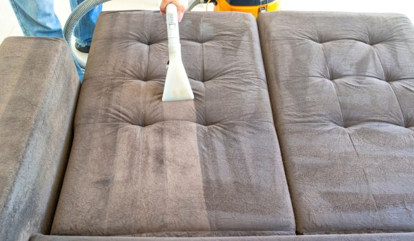 Limpeza Profissional A Seco De Sofa Com Extratora